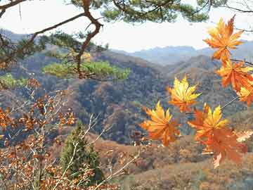 澳门六开彩天天开奖结果+开奖记录表查询功能介绍,实践策略设计_PalmOS89.89